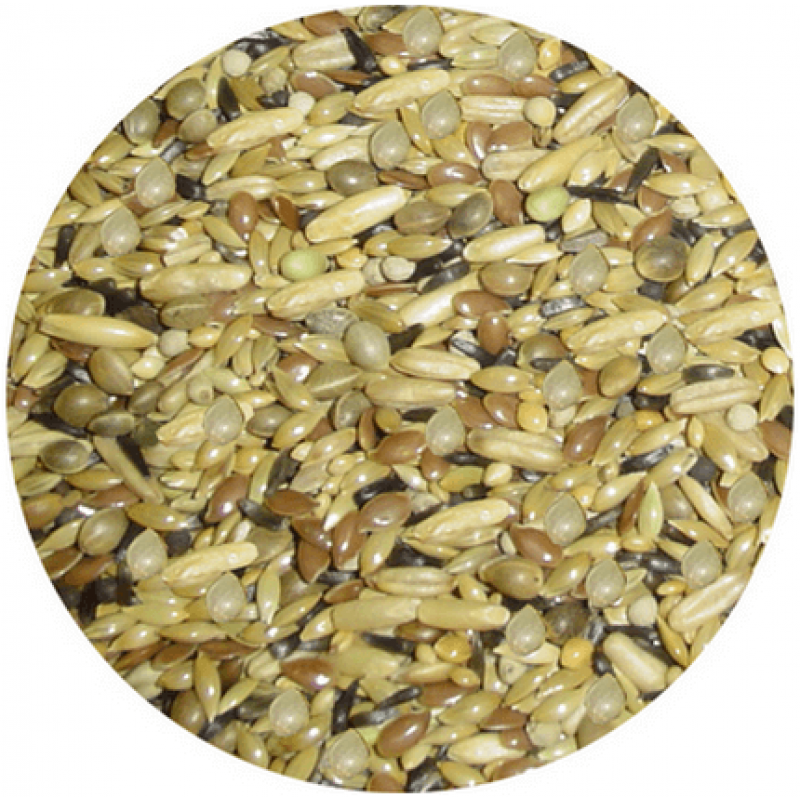 Professional κελαϊδίνη Pro-Mix 3.1 (χωρις ρουψεν)20 + 2kg δωρο