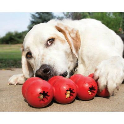 KongGoodieRibbonSmall