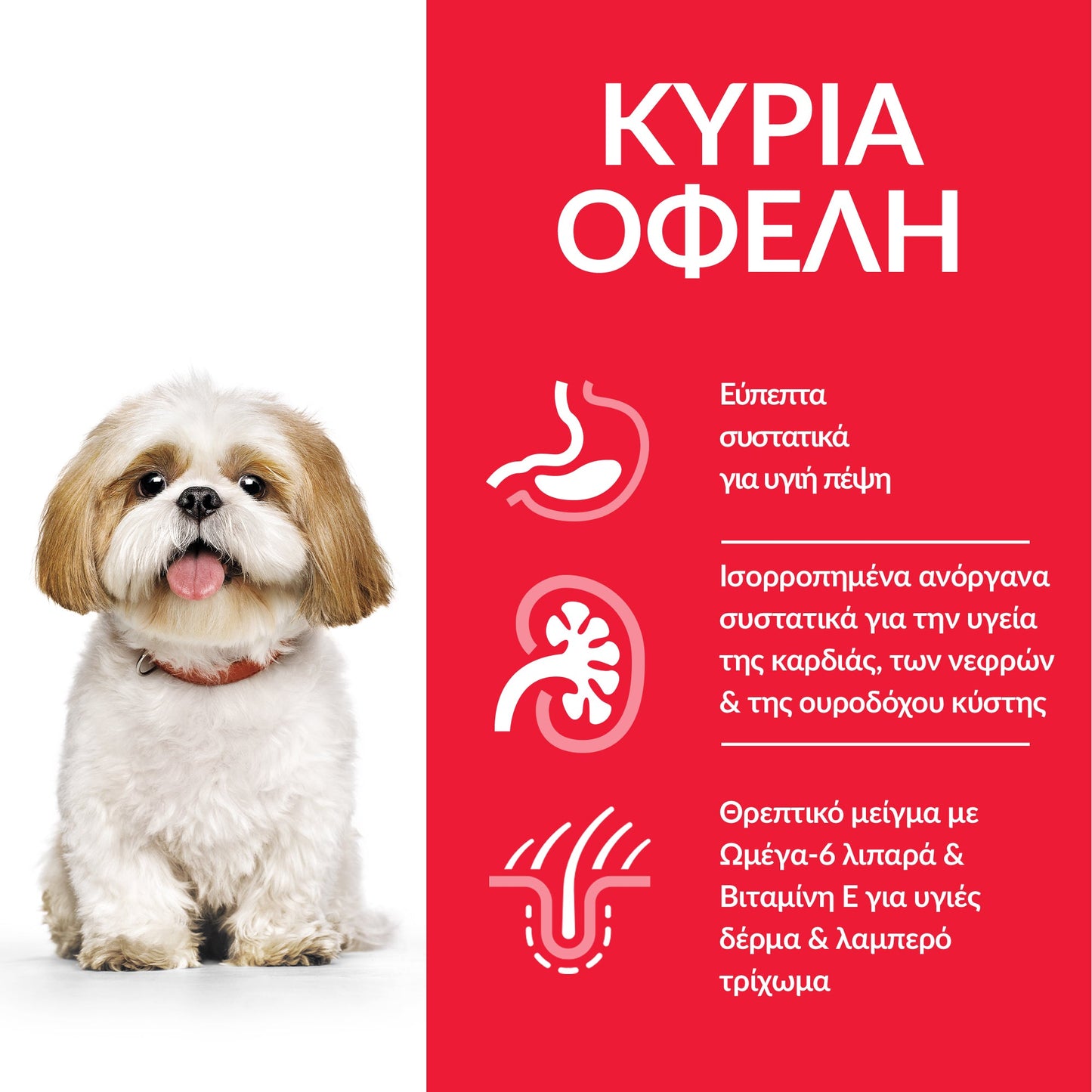 HILL'S SCIENCE PLAN MATURE ADULT DOG SMALL & MINI ΜΕ ΚΟΤΟΠΟΥΛΟ 1,5kg