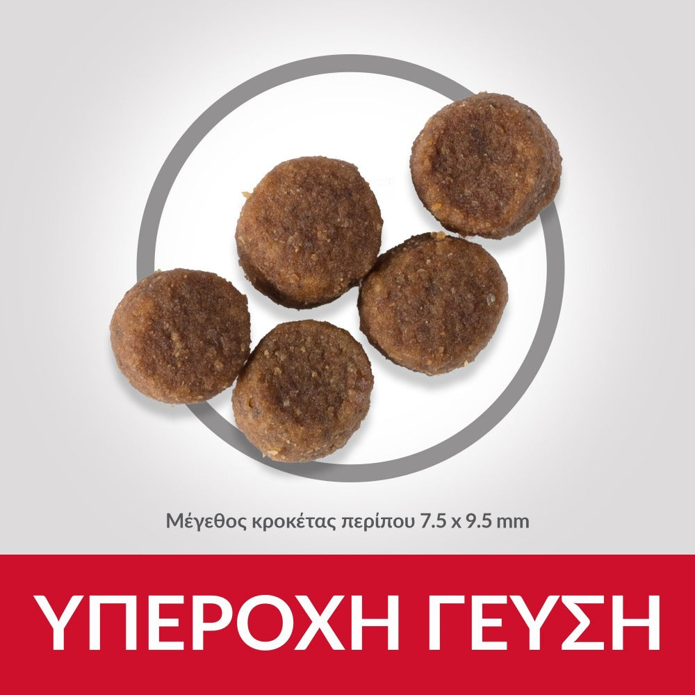 HILL'S SCIENCE PLAN PUPPY ΜEDIUM ΜΕ ΚΟΤΟΠΟΥΛΟ 14kg