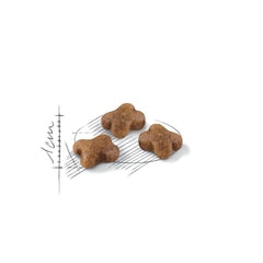 ROYAL CANIN KITTEN 2kg
