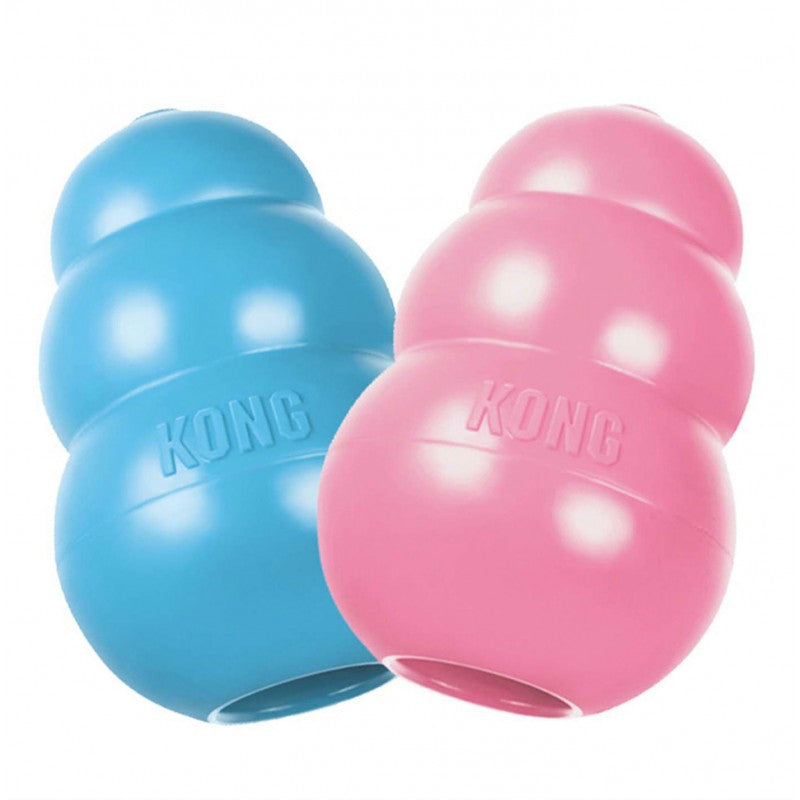 KongPuppy medium