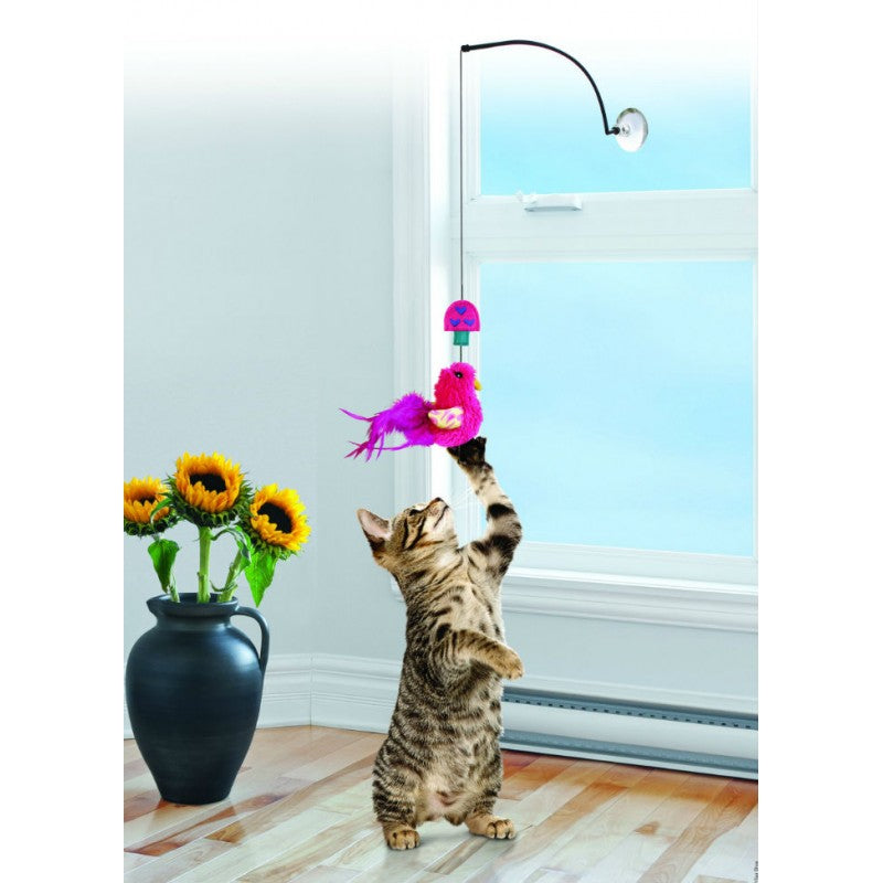 KongCatWindowTeaser