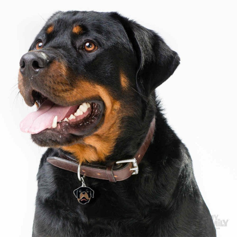 ΤΑΥΤΟΤΗΤΑ ΣΚΥΛΟΥ MY FAMILY ROTTWEILER