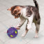 KongCatBoutFlickerDisco