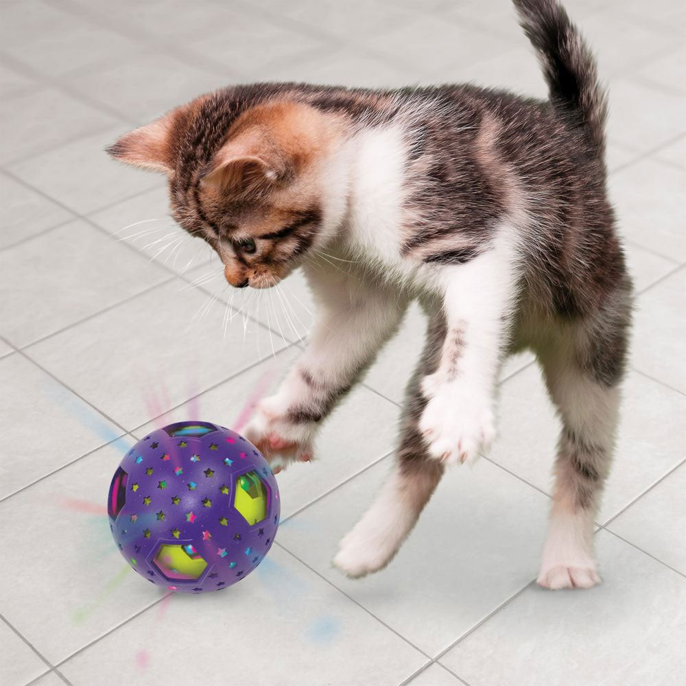 KongCatBoutFlickerDisco