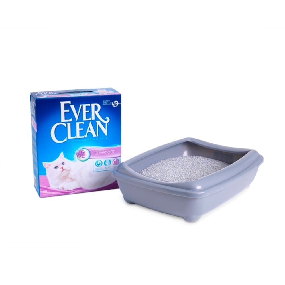 EVER CLEAN Lavender 6L