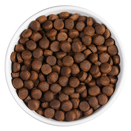 AMBROSIA GRAIN FREE PUPPY LARGE CHICKEN & SALMON 12KG + ΔΩΡΟ ΚΟΝΣΕΡΒΑ PIPER PUPPY 400gr GRAIN FREE