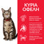 HILL'S SCIENCE PLAN ADULT CAT ΜΕ ΚΟΤΟΠΟΥΛΟ 1.5kg
