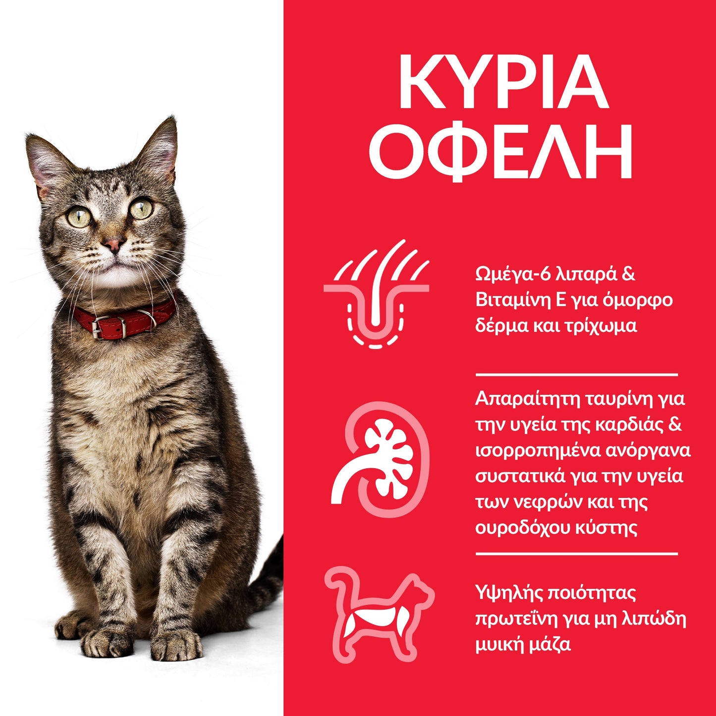 HILL'S SCIENCE PLAN ADULT CAT ΜΕ ΚΟΤΟΠΟΥΛΟ 1.5kg