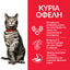 HILL'S SCIENSE PLAN ADULT CAT URINARY HEALTH ΜΕ ΚΟΤΟΠΟΥΛΟ 1.5kg