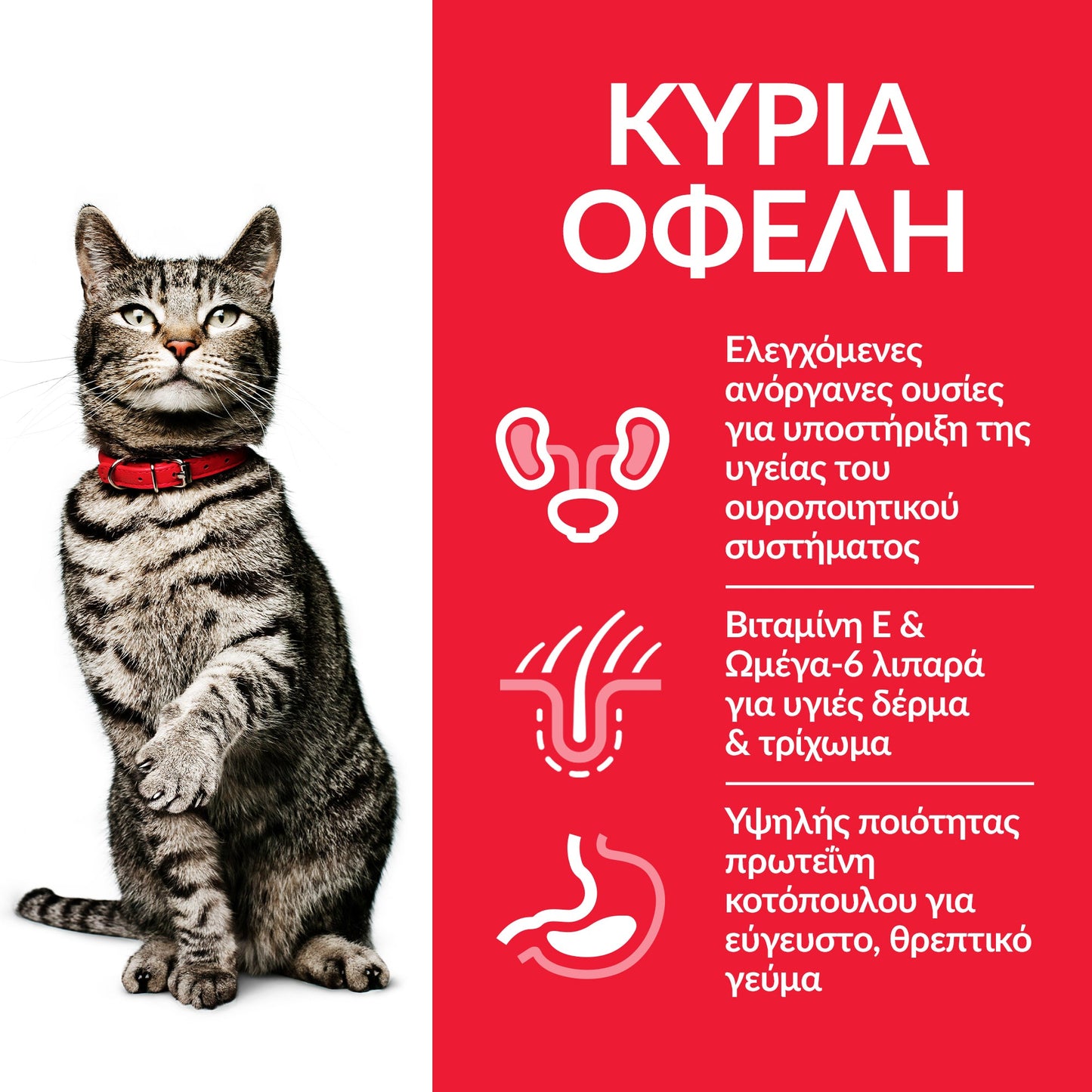 HILL'S SCIENSE PLAN ADULT CAT URINARY HEALTH ΜΕ ΚΟΤΟΠΟΥΛΟ 1.5kg