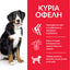 HILL'S ADULT DOG LARGE BREED ΜΕ ΚΟΤΟΠΟΥΛΟ 14kg