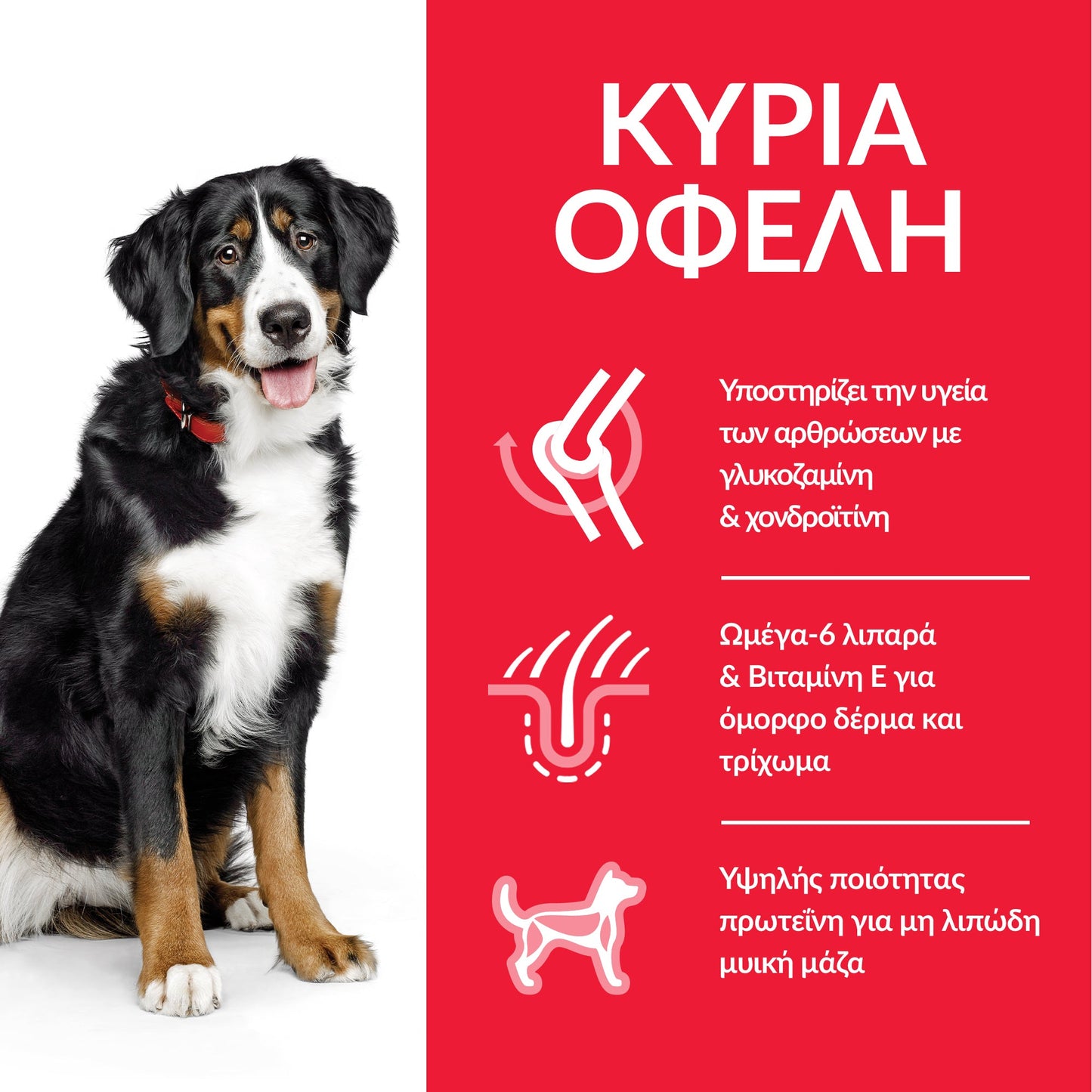 HILL'S ADULT DOG LARGE BREED ΜΕ ΚΟΤΟΠΟΥΛΟ 14kg
