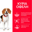 HILL'S SCIENCE PLAN ADULT DOG PERFECT WEIGHT MEDIUM ΜΕ ΚΟΤΟΠΟΥΛΟ 2kg
