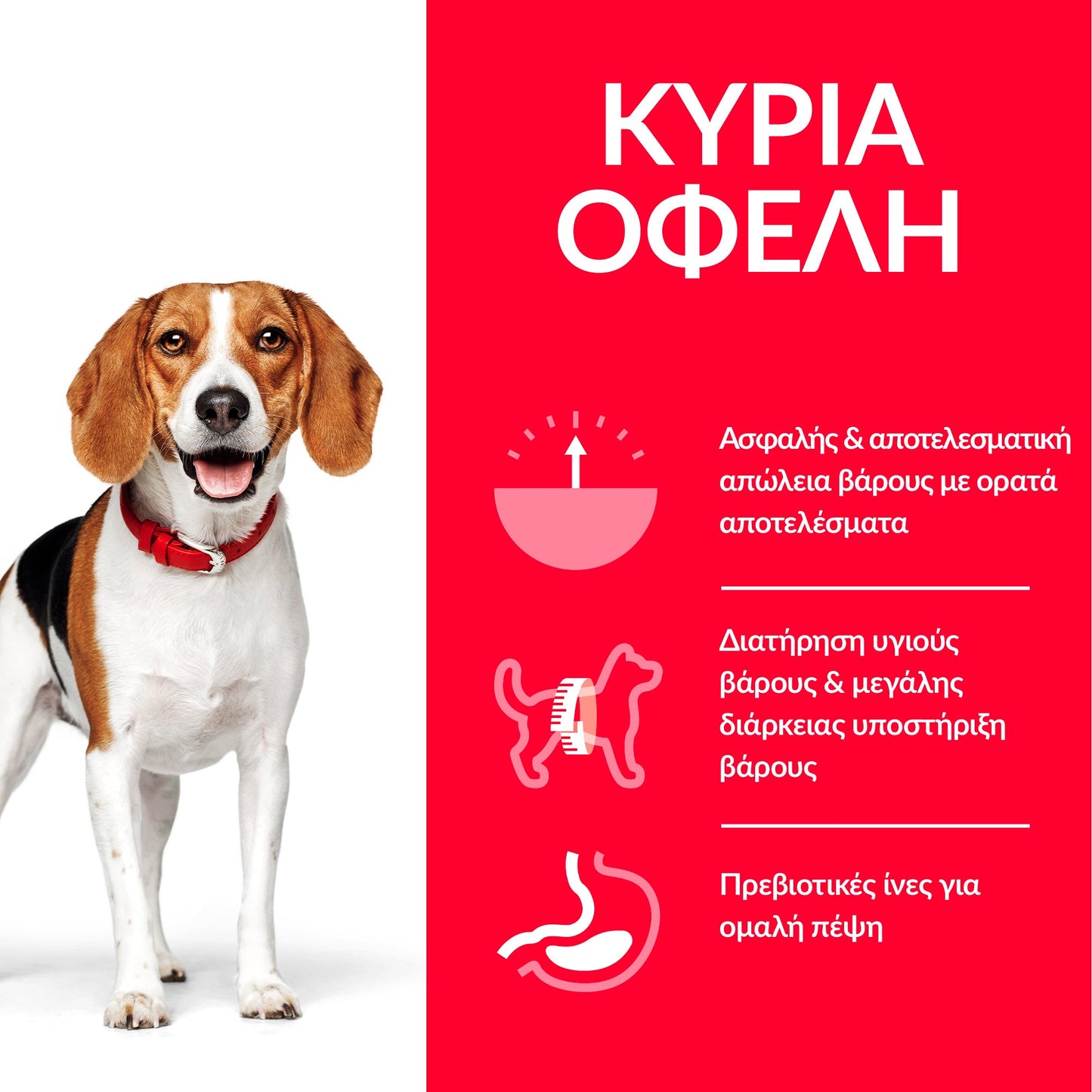 HILL'S SCIENCE PLAN ADULT DOG PERFECT WEIGHT MEDIUM ΜΕ ΚΟΤΟΠΟΥΛΟ 2kg