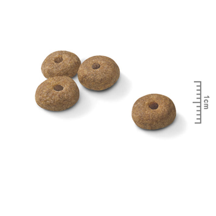 ROYAL CANIN MINI STERILISED 3kg